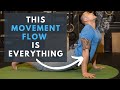 5-MINUTE MOVEMENT FLOW to Stay STRONG & FLEXIBLE