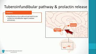 Antipsychotics: Dopaminergic Pathways and Advanced Mechanisms