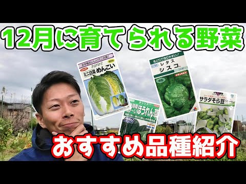 Recommended varieties of vegetables that can be grown in December