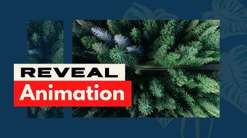 Create this Reveal Entrance Animation with Image or Text in Elementor | Elementor tips and Tricks
