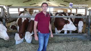Adaptation de la ration des vaches laitières en période de tarissement