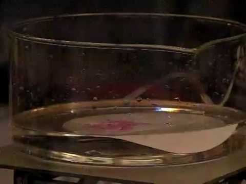 Video: Reagerer natrium med vand?