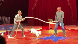 Comedy Dog Show. Leonid Beljakov