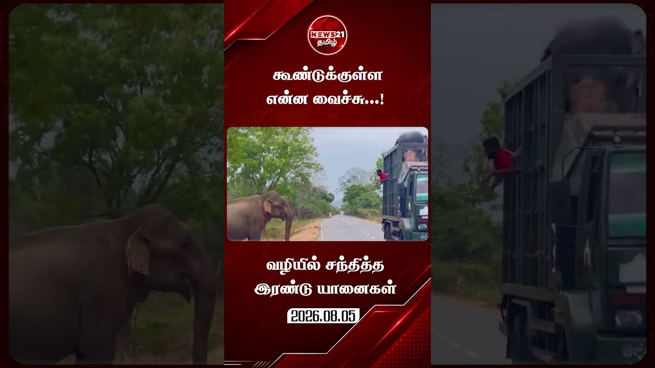 காட்டு யானையைச் சந்தித்த கூண்டில் அடைக்கப்பட்ட யானை... #elephant