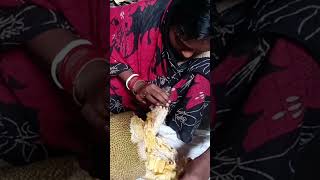 বড় কাঁঠাল ভাঙার মজার ভিডিও 🤩 | Ripe Jackfruit Cutting | Kathal Bhanga | #mitar_rannaghor