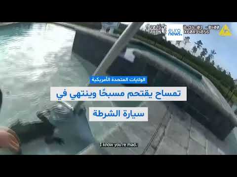 إنقاذ السلاحف الصغيرة وإعادتها إلى بيئتها الطبيعية