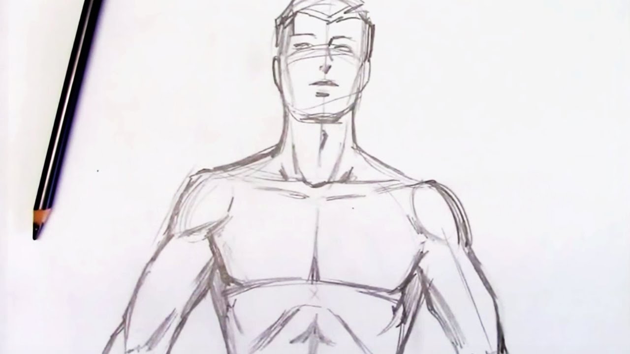 Draw male torso