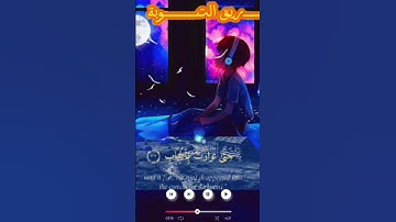 القرآن الكريم راحـــــة نفسية🩵 #القرآن_الكريم #المصحف #تلاوة_خاشعة #اكسبلور