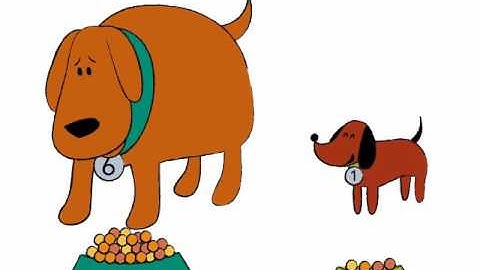 Comparing Bits and Pieces 2.2 Launch Video