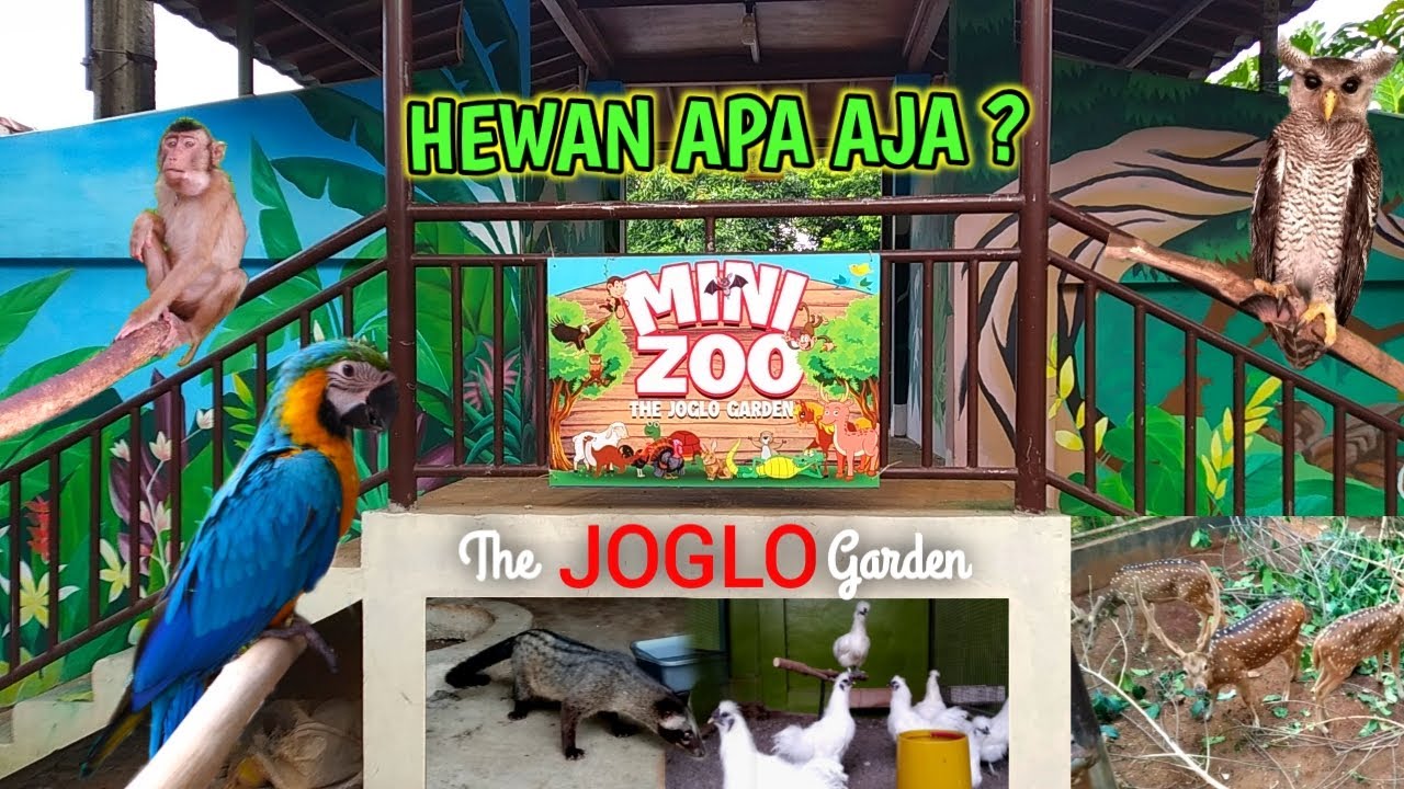 Koleksi Hewan Di Mini Zoo The Joglo Garden Kranggan Bekasi YouTube