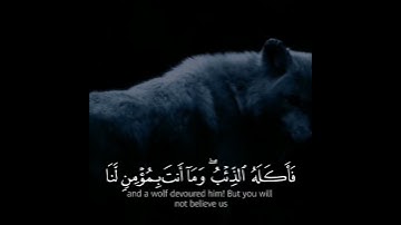 تلاوة لا توصف تقشعر لها الأبدان مزمار من مزامير داود  القارئ ابراهيم العسيري من سورة يوسف