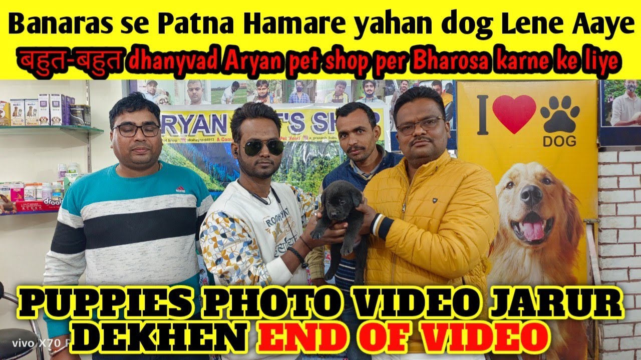 dog-lene-banaras-se-patna-pet-shop-in-varanasi-dog-shop-in-patna