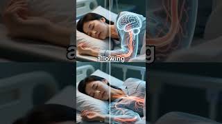 Side Sleeping Clears 60% More Brain Waste