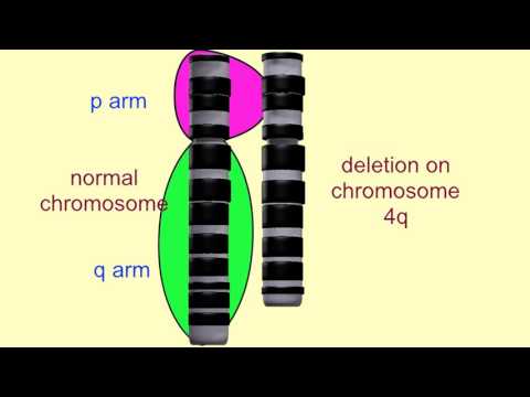 Wideo: Co oznacza delecja chromosomów?