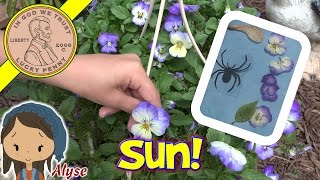 Solar Print Kit Crafting With Alyse Beautiful Summer Day