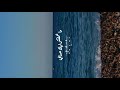  امسك يلا حرامي    دياب وصابرين النجيلي في أغنية خطفت الأنظار من أول يوم   حالتي