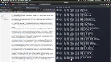 Walkthrough - HackTheBox - Silo - no Metasploit - 9 of 10