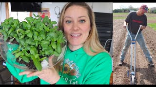 Starting Zinnias in Soil Blocks :‍Direct Sowing Zinnia with Sunflower Steve: Flower Hill Farm