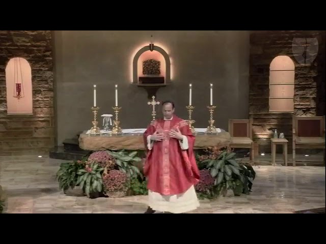 Father Jay's Homily from Thursday, November 19, 2020