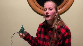 Cool new Sound-Interactive 3-D Christmas Tree with 56 LEDs