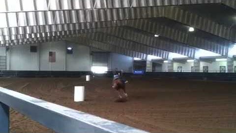 Wild Remedy "Reggie" & Stacey knock a barrel at Spicer