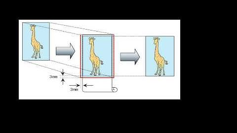 Canon iPF Printers Overview: Using the Printer Driver (Windows)