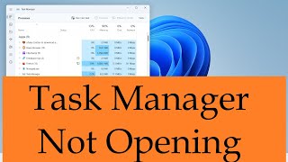 Celebrity Task Manager not Opening in Windows 11 (Easy Fix) Net Worth