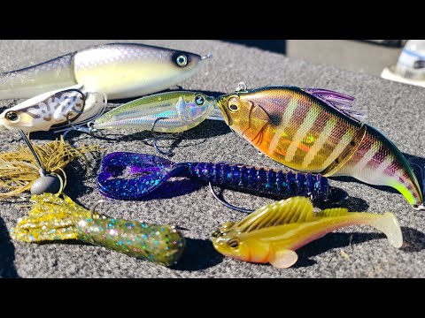 Bass Fishing: Top 10 Baits of 2020!! 