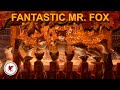Fantastic mr fox wes andersons surprise stopmotion masterpiece