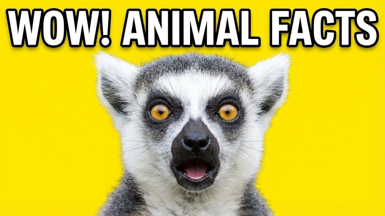 The Craziest Things Animals Can Really Do