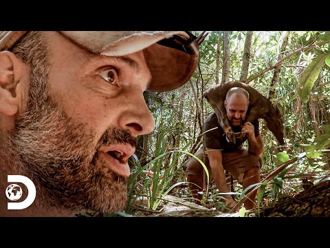 Ed sente falta de proteínas e tenta caçar porco | Ed Stafford: Desafio em Família | Discovery Brasil