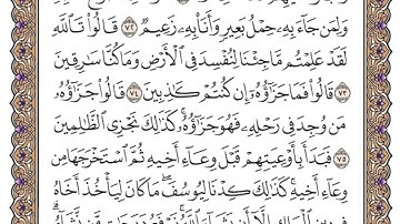 سورة يوسف الصفحة 244 من القران للشيخ ياسر الدوسري
