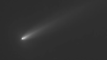 Comet C/2025K1 ATLAS fragmentation: evolution from 11 Nov. to 18 Nov. 2025