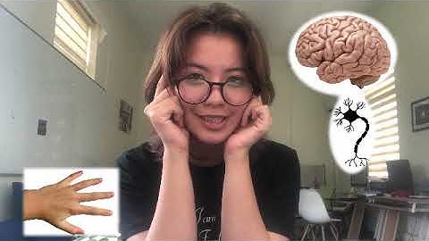 Breakthrough junior challenge(2019) entry video/ Role of epigenetic in cell differentiation