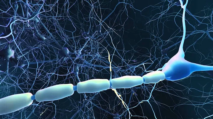 Dr. Ralph Kern Explains How an Imbalance of the Im...