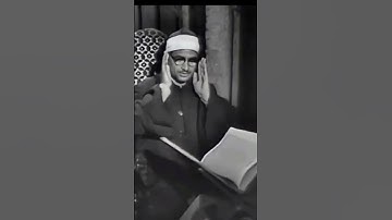 سوره المسد #الشيخ_محمدصديق_المشاوي_للتلوات_النادره