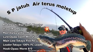 S. P Jatuh Air Terus Dirampas Ganas Toman Bujang | Opass S P Swim Min Shad | CASTING| Daiwa Zillion
