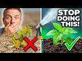 5 Watering Mistakes Killing Your Garden - Fix These Now!