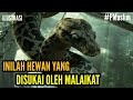 10 Hewan Yang Disukai Malaikat dari Kucing Sampai Ular #PMuslim