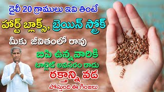 Blood Filter Seeds | How to Avoid Heart Blocks & Brain Strokes | Dr Manthena Satyanarayana Raju