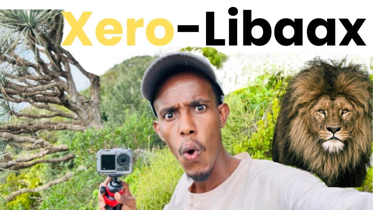 Xero-Libaax ayaan hal maalin ku noolaa.