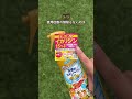 今日は意外と知られてない蚊対策まとめたで🦟⚡️