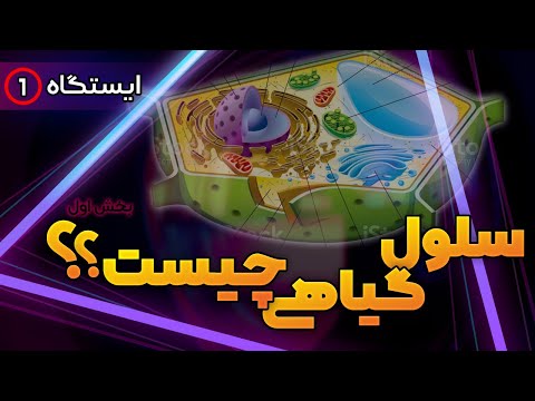 تصویری: منظور از سلول گیاهی و سلول جانوری چیست؟