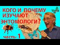 Кто Такие Зоологи и Энтомологи? Что изучают Зоологи и Энтомологи? ЧАСТЬ-1.