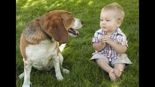 Funniest Babies and Dogs Talking to each other - Cute dog and baby videos 2017