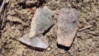 EVEN When Split! ~ 443 Artifact Find! June 2016