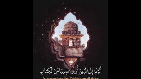 ألم ترا إلى الذين أوتوا نصيبا من الكتاب - تلاوة جميلة للقارئ إسلام صبحي