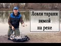 Ловля тарани зимой на реке