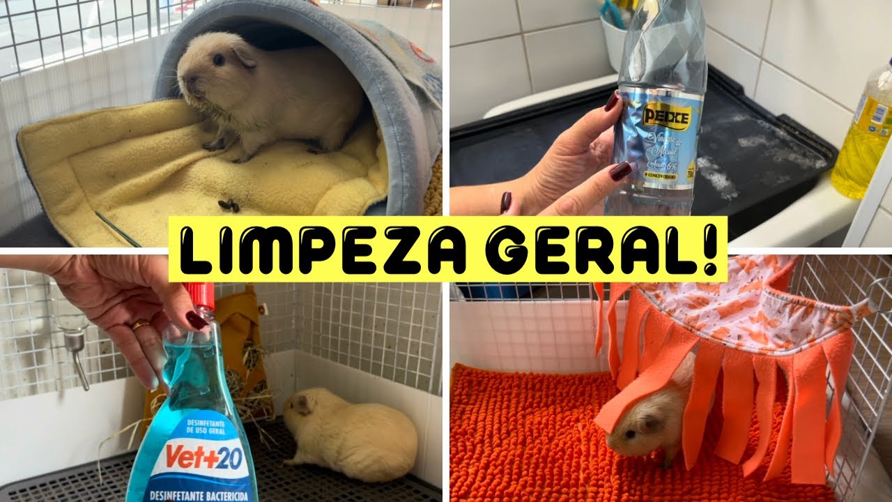 Limpeza Geral no Cercado do Pacco!