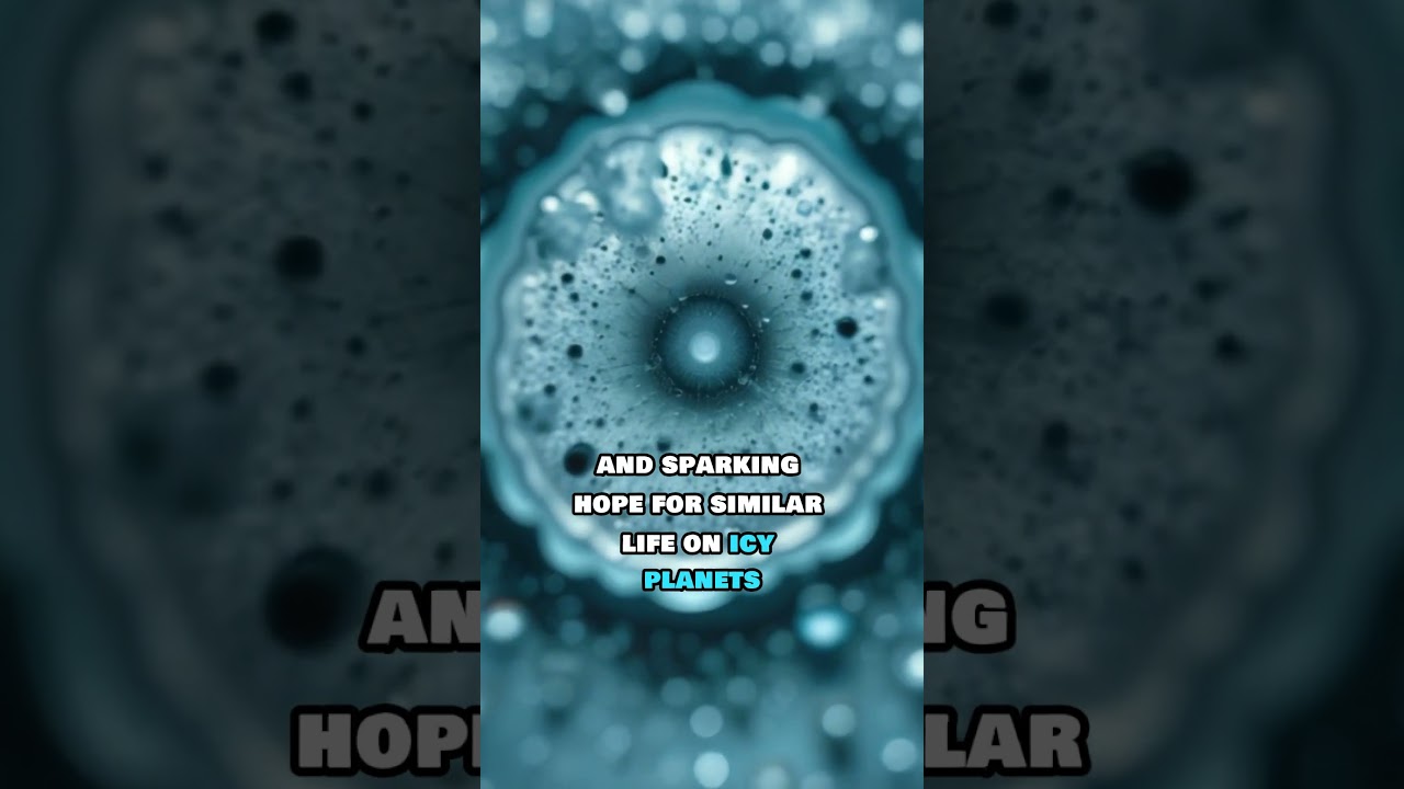 What Lies Beneath Antarctica’s Ice? 